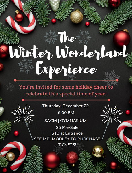 The Winter Wonderland Experience Show