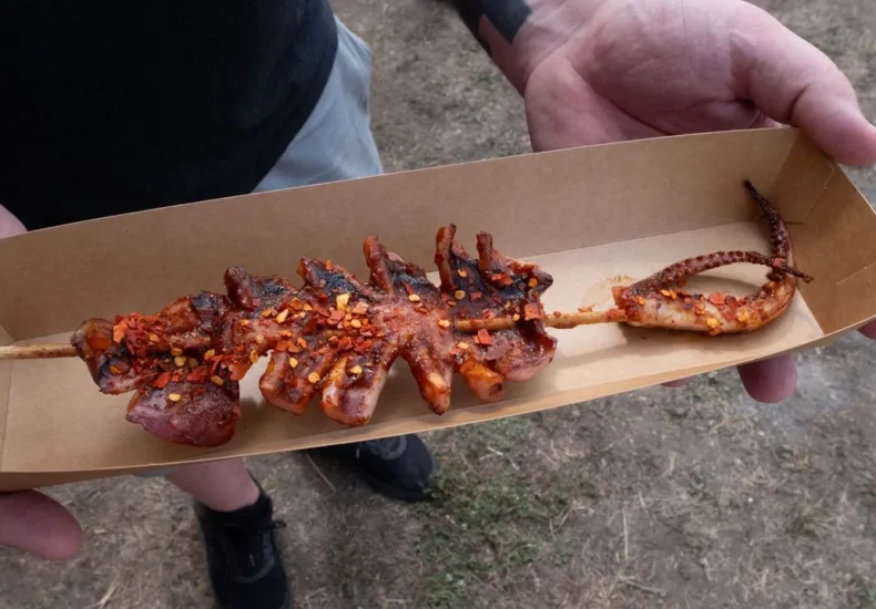 Fair food stands at the New York State Fair featuring unusual fried snacks and colorful desserts